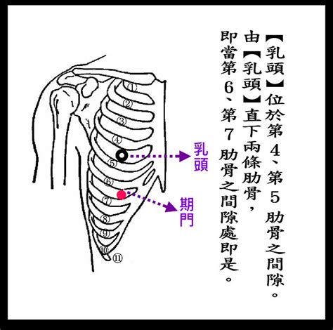 奇門穴位置|人體穴位大全——期門穴：胸脅滿痛，黃疸，嘔吐，呃。